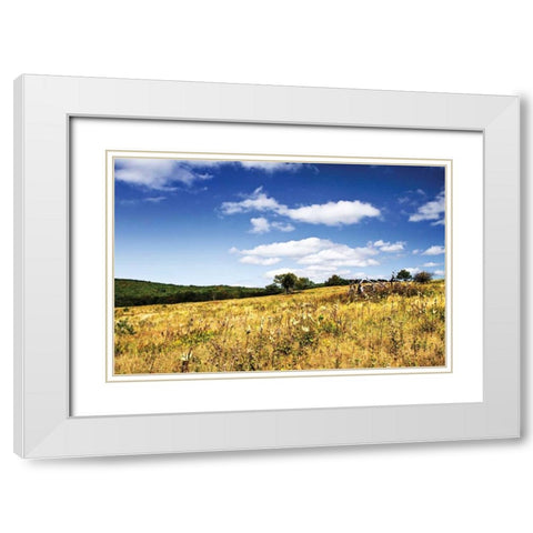 Big Meadow II White Modern Wood Framed Art Print with Double Matting by Hausenflock, Alan