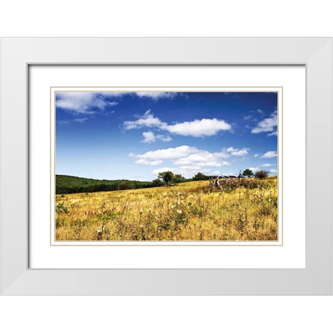 Big Meadow II White Modern Wood Framed Art Print with Double Matting by Hausenflock, Alan