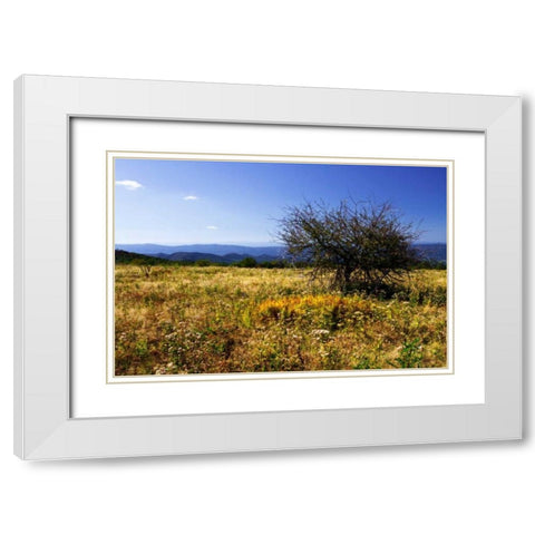 Distant Mountains III White Modern Wood Framed Art Print with Double Matting by Hausenflock, Alan