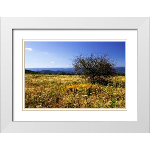 Distant Mountains III White Modern Wood Framed Art Print with Double Matting by Hausenflock, Alan