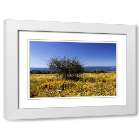 Distant Mountains IV White Modern Wood Framed Art Print with Double Matting by Hausenflock, Alan