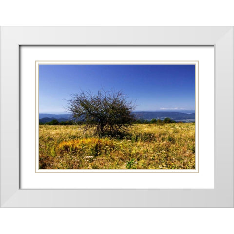 Distant Mountains IV White Modern Wood Framed Art Print with Double Matting by Hausenflock, Alan
