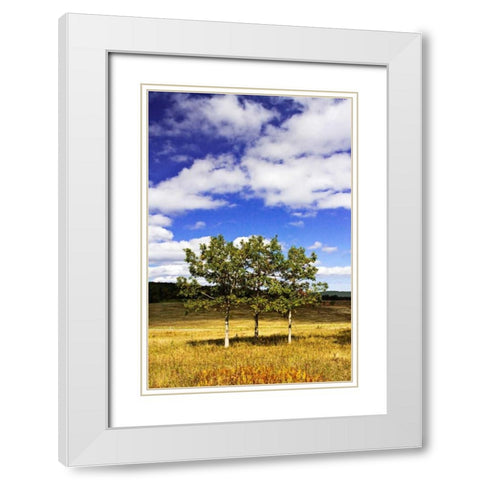 Autumn Fields IV White Modern Wood Framed Art Print with Double Matting by Hausenflock, Alan