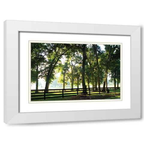 Misty Sunrise I White Modern Wood Framed Art Print with Double Matting by Hausenflock, Alan