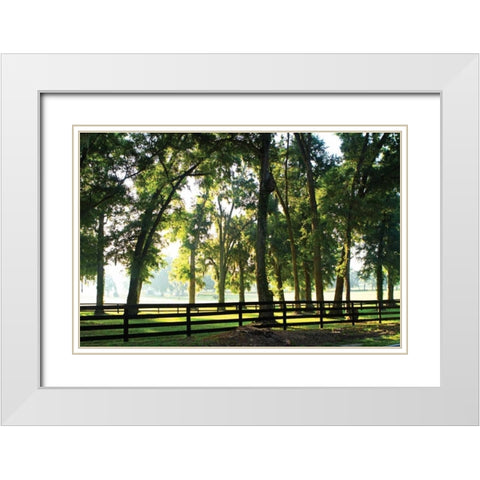 Misty Sunrise I White Modern Wood Framed Art Print with Double Matting by Hausenflock, Alan