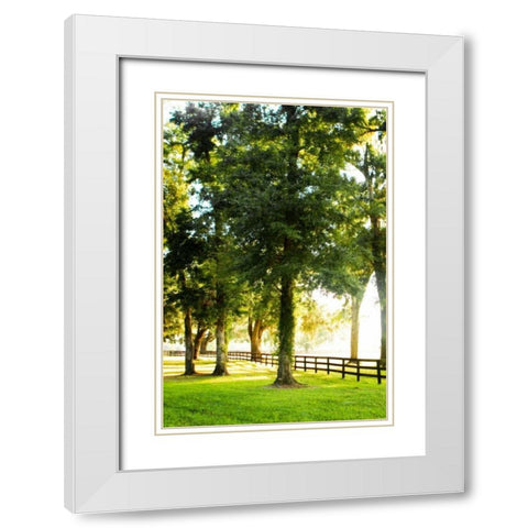 Misty Sunrise IV White Modern Wood Framed Art Print with Double Matting by Hausenflock, Alan