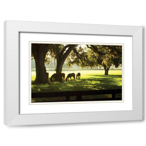 Horses in the Sunrise II White Modern Wood Framed Art Print with Double Matting by Hausenflock, Alan