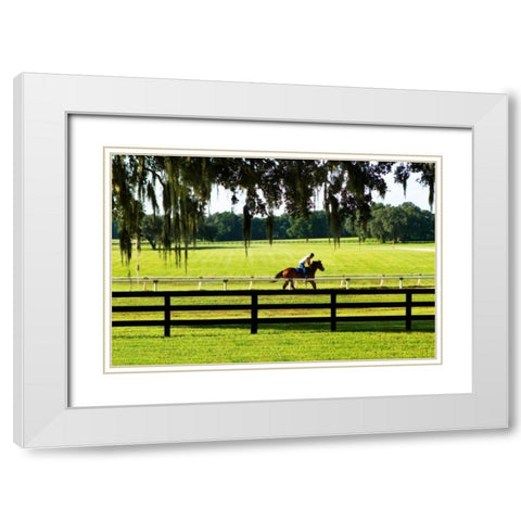 Training Day I White Modern Wood Framed Art Print with Double Matting by Hausenflock, Alan