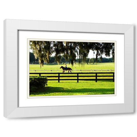 Training Day II White Modern Wood Framed Art Print with Double Matting by Hausenflock, Alan