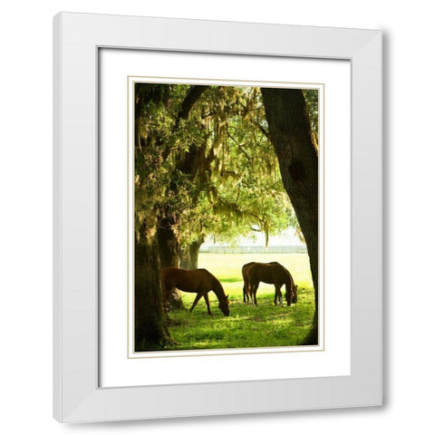 Horses in the Sunrise VI White Modern Wood Framed Art Print with Double Matting by Hausenflock, Alan