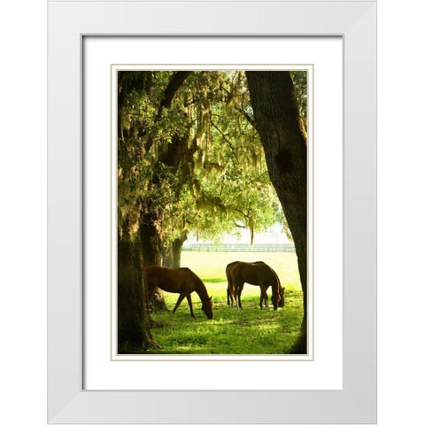 Horses in the Sunrise VI White Modern Wood Framed Art Print with Double Matting by Hausenflock, Alan