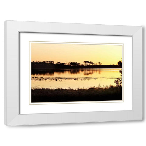 Snow Goose Pool I White Modern Wood Framed Art Print with Double Matting by Hausenflock, Alan