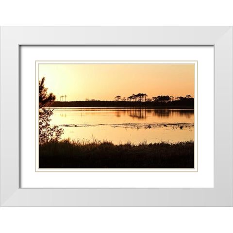 Snow Goose Pool II White Modern Wood Framed Art Print with Double Matting by Hausenflock, Alan