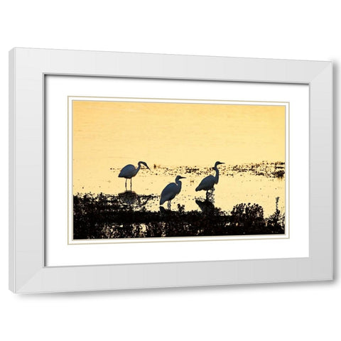 Egrets in the Sunrise I White Modern Wood Framed Art Print with Double Matting by Hausenflock, Alan