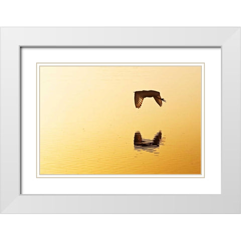 Egrets in the Sunrise III White Modern Wood Framed Art Print with Double Matting by Hausenflock, Alan