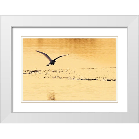 Egrets in the Sunrise IV White Modern Wood Framed Art Print with Double Matting by Hausenflock, Alan