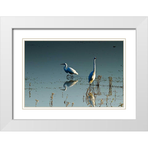 Early Morning Egrets II White Modern Wood Framed Art Print with Double Matting by Hausenflock, Alan