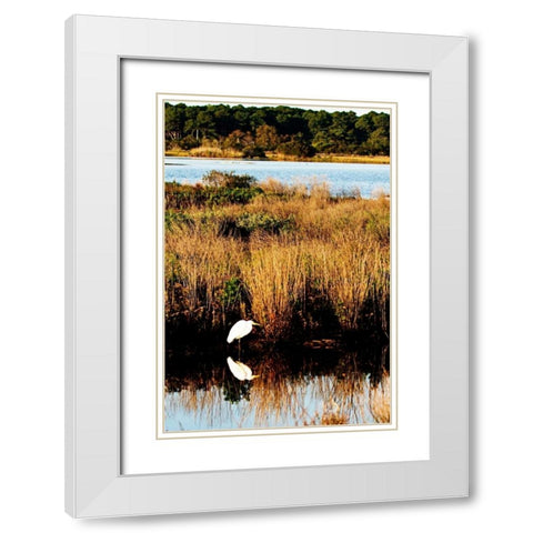 Assateague Island I White Modern Wood Framed Art Print with Double Matting by Hausenflock, Alan