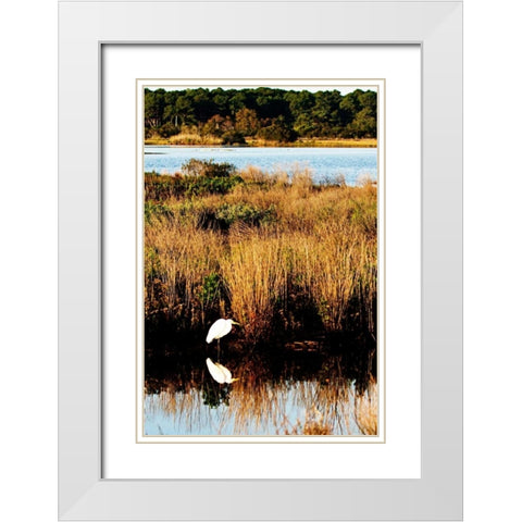 Assateague Island I White Modern Wood Framed Art Print with Double Matting by Hausenflock, Alan