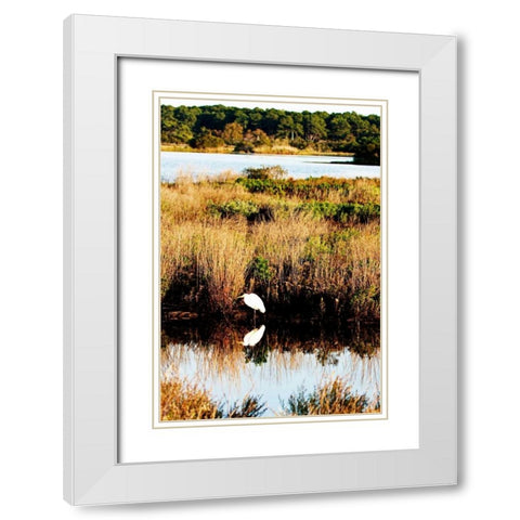 Assateague Island II White Modern Wood Framed Art Print with Double Matting by Hausenflock, Alan