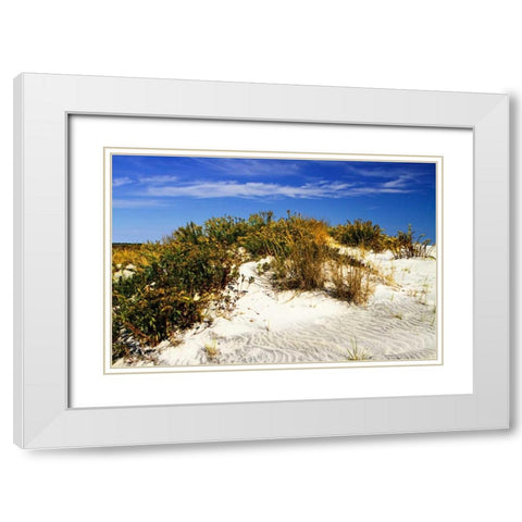 Assateague Beach I White Modern Wood Framed Art Print with Double Matting by Hausenflock, Alan