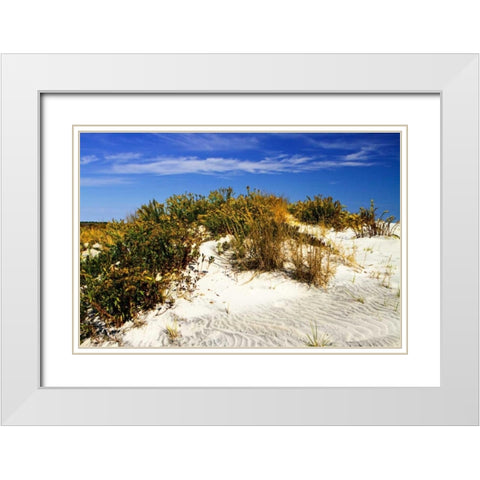 Assateague Beach I White Modern Wood Framed Art Print with Double Matting by Hausenflock, Alan