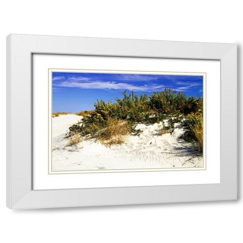 Assateague Beach II White Modern Wood Framed Art Print with Double Matting by Hausenflock, Alan