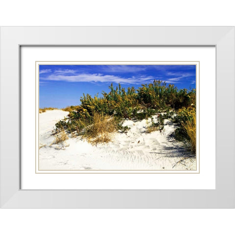 Assateague Beach II White Modern Wood Framed Art Print with Double Matting by Hausenflock, Alan