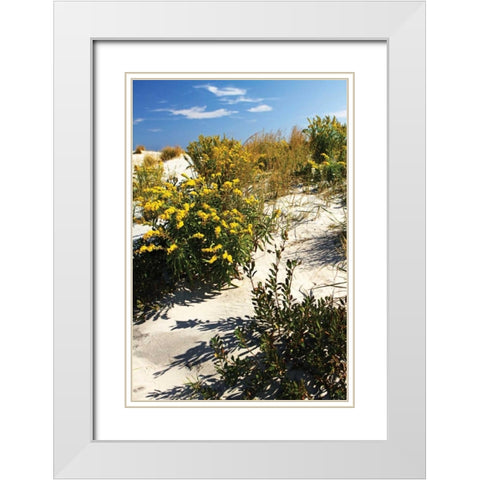 Assateague Beach V White Modern Wood Framed Art Print with Double Matting by Hausenflock, Alan