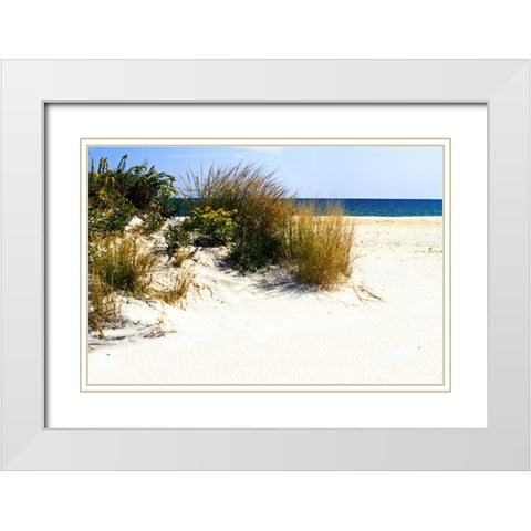 Assateague Beach VII White Modern Wood Framed Art Print with Double Matting by Hausenflock, Alan