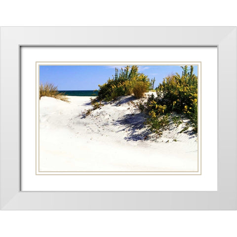 Assateague Beach VIII White Modern Wood Framed Art Print with Double Matting by Hausenflock, Alan