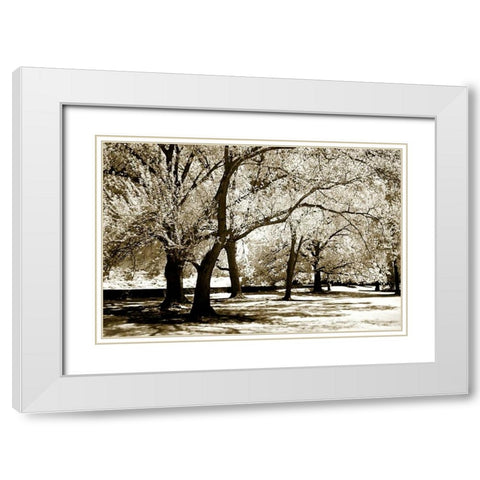 Fantasy Oaks White Modern Wood Framed Art Print with Double Matting by Hausenflock, Alan