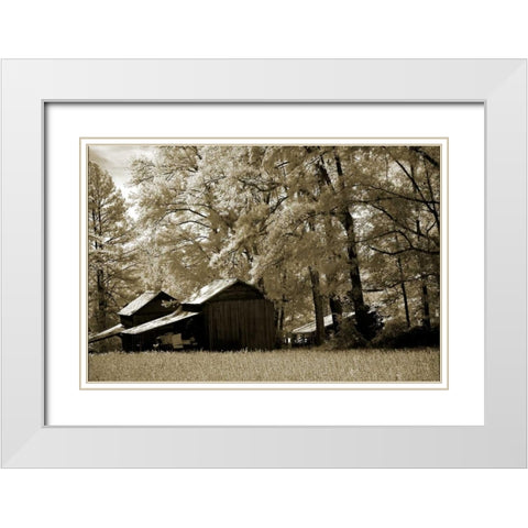 Tobacco Road White Modern Wood Framed Art Print with Double Matting by Hausenflock, Alan