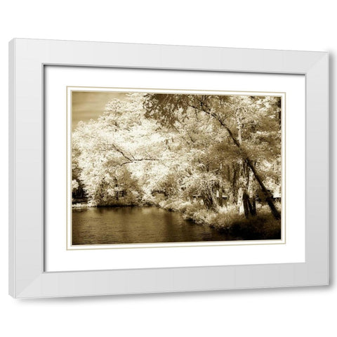 Mattaponi III White Modern Wood Framed Art Print with Double Matting by Hausenflock, Alan