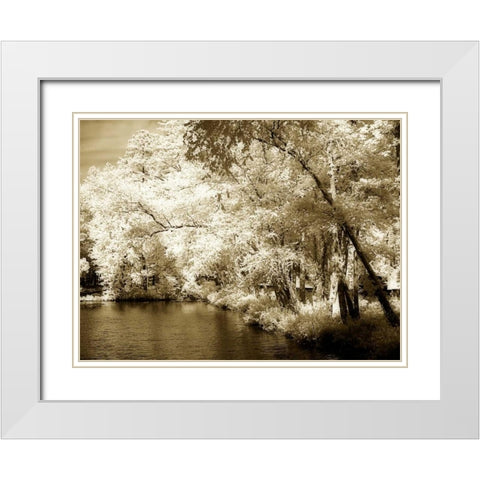 Mattaponi III White Modern Wood Framed Art Print with Double Matting by Hausenflock, Alan