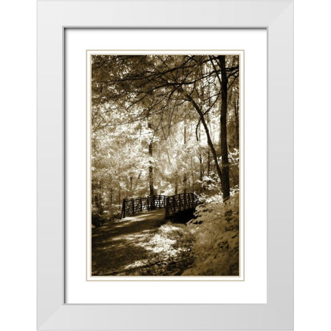 Summer Bridge White Modern Wood Framed Art Print with Double Matting by Hausenflock, Alan