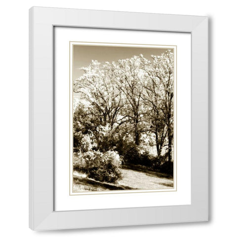 Autumn Meadow II White Modern Wood Framed Art Print with Double Matting by Hausenflock, Alan