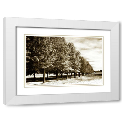 Plantation Road I White Modern Wood Framed Art Print with Double Matting by Hausenflock, Alan