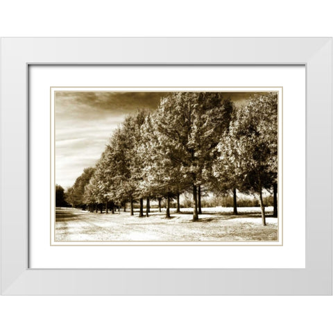 Plantation Road II White Modern Wood Framed Art Print with Double Matting by Hausenflock, Alan