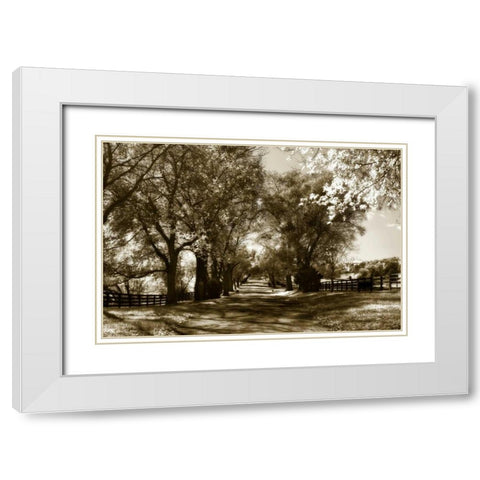 Autumn Foothills VI White Modern Wood Framed Art Print with Double Matting by Hausenflock, Alan