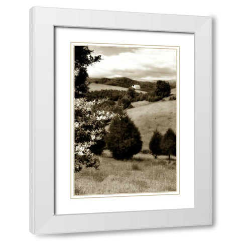 Madison County II White Modern Wood Framed Art Print with Double Matting by Hausenflock, Alan