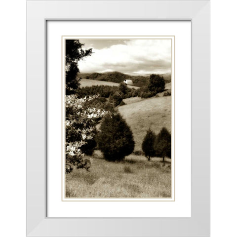 Madison County II White Modern Wood Framed Art Print with Double Matting by Hausenflock, Alan