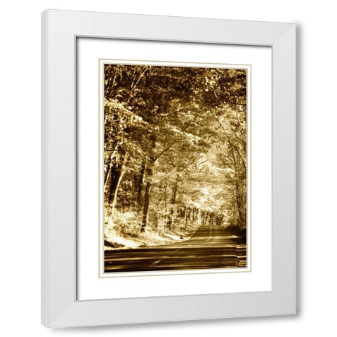 Autumn Wood Road III White Modern Wood Framed Art Print with Double Matting by Hausenflock, Alan