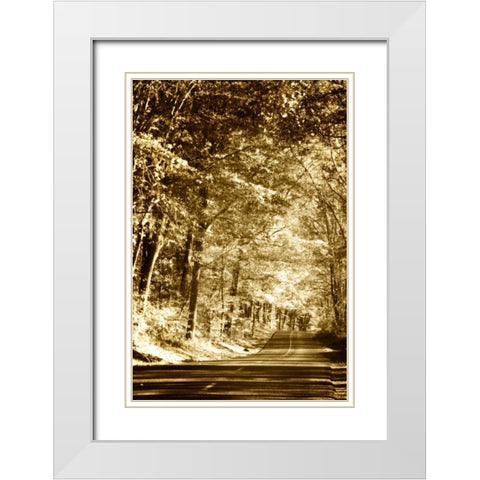 Autumn Wood Road III White Modern Wood Framed Art Print with Double Matting by Hausenflock, Alan