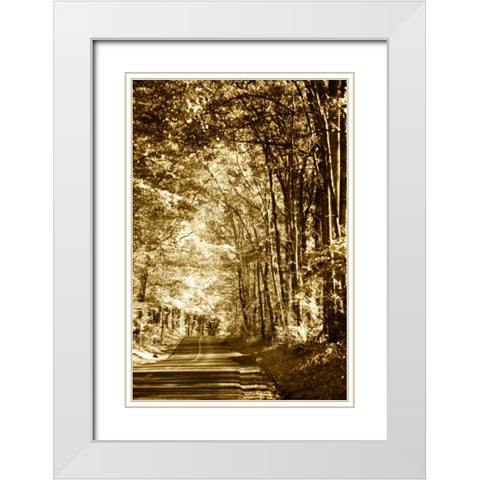 Autumn Wood Road IV White Modern Wood Framed Art Print with Double Matting by Hausenflock, Alan