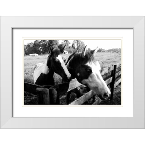 Stormy and Foal II White Modern Wood Framed Art Print with Double Matting by Hausenflock, Alan