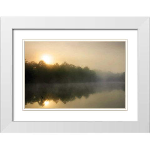 Fog on the Mattaponi III White Modern Wood Framed Art Print with Double Matting by Hausenflock, Alan