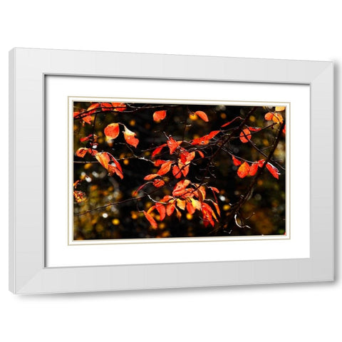 Autumn Leaves VI White Modern Wood Framed Art Print with Double Matting by Hausenflock, Alan