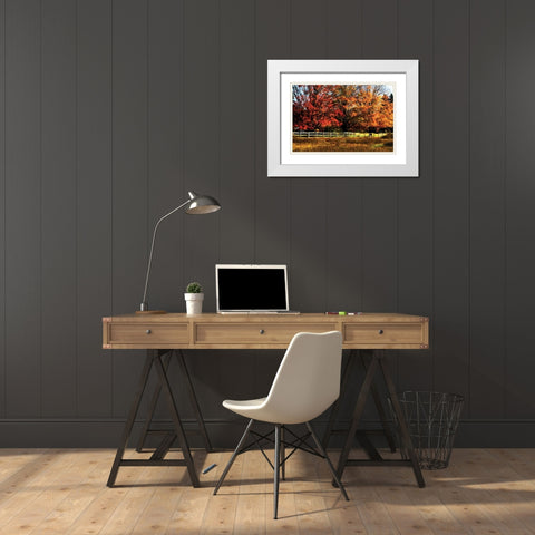Autumn in the Fields White Modern Wood Framed Art Print with Double Matting by Hausenflock, Alan