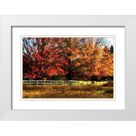 Autumn in the Fields White Modern Wood Framed Art Print with Double Matting by Hausenflock, Alan